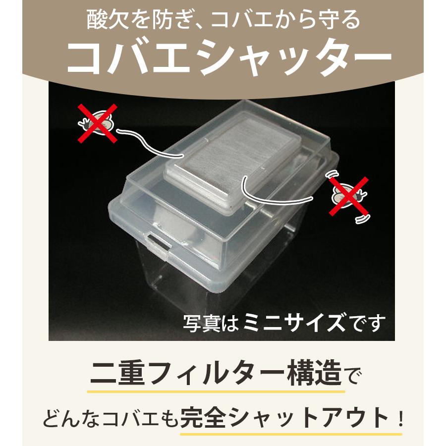 飼育ケース コバエシャッター 中 蓋＆本体 クリア 透明 シーラケース 昆虫 飼育用品 爬虫類 生体 観察 成虫 幼虫 プラスチック テラリウム｜select-mofu-y｜02