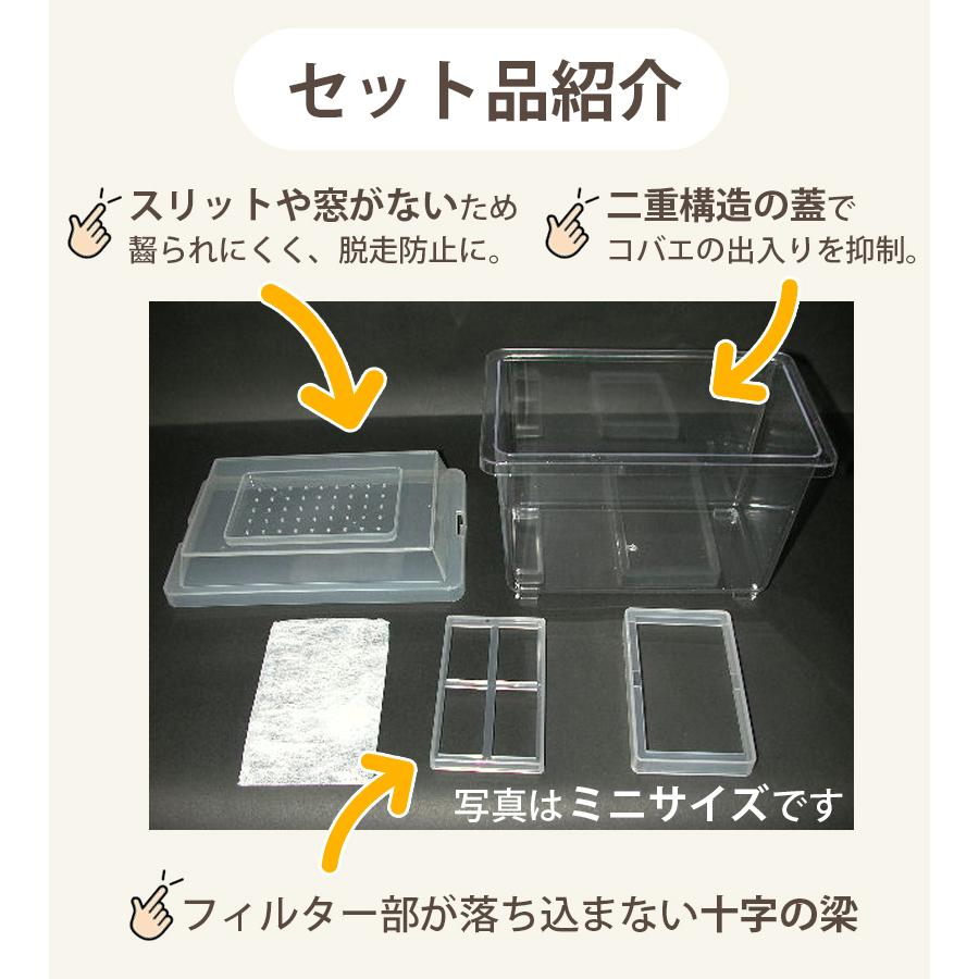 飼育ケース コバエシャッター 中 蓋＆本体 クリア 透明 シーラケース 昆虫 飼育用品 爬虫類 生体 観察 成虫 幼虫 プラスチック テラリウム｜select-mofu-y｜03