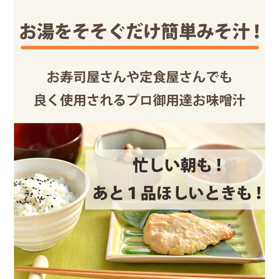 味噌 みそ 味噌汁 赤 小袋 100食入 みそ汁 即席 粉末 熱湯 赤みそ 手軽