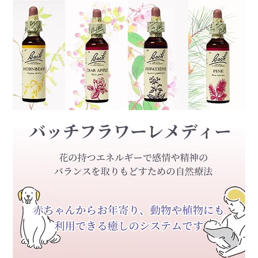 フラワーエッセンス バッチフラワーレメディ フルセット 10ml レスキュープラス ロゼンジ（4.2g×10粒） 2本セット：バッチ