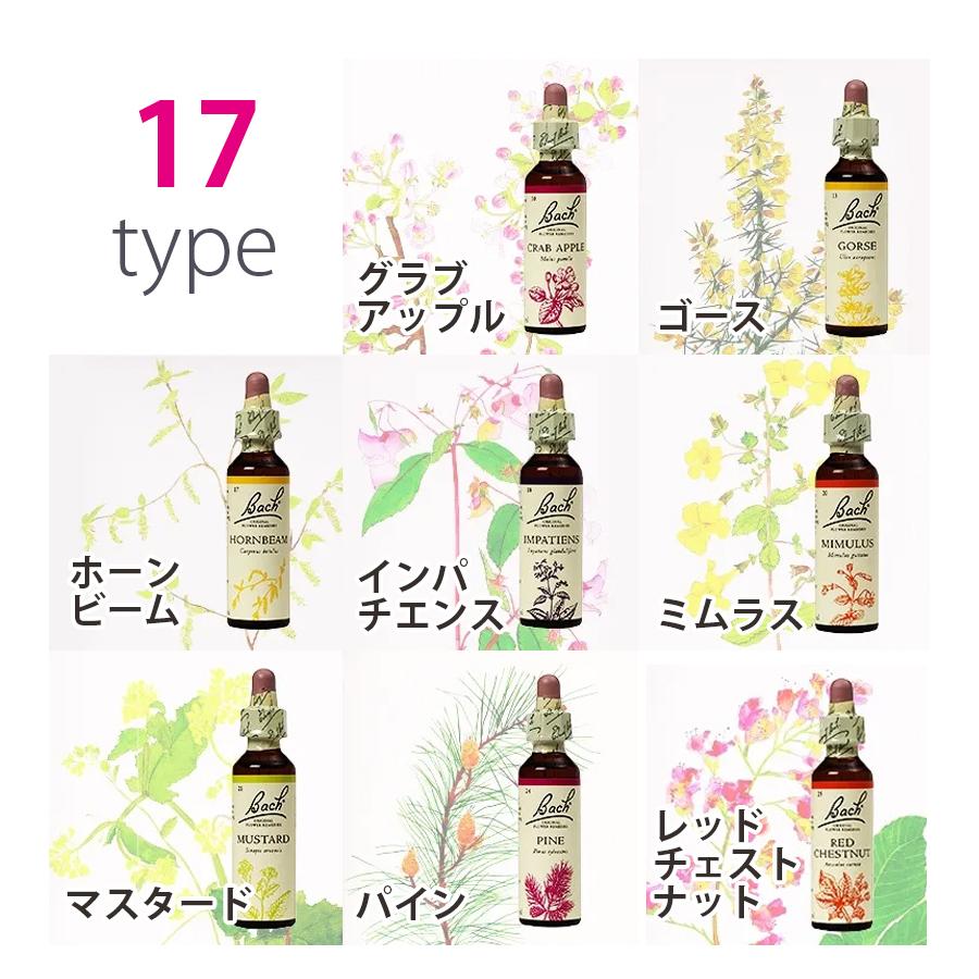 バッチフラワーレメディ エッセンス 10ml アロマ ルームフレグランス