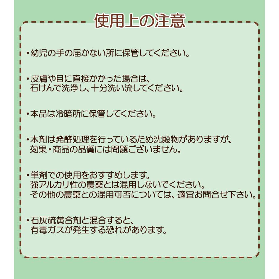 肥料 根張り 活根彩果 200ml 農業 家庭菜園 作物 果樹 植物 促進 栄養 液体肥料 栄養剤 酵素 |  | 04