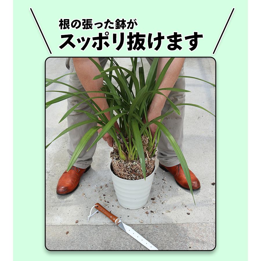 ガーデニング 園芸 家庭菜園 園芸用 ナイフ 園芸用品 ガーデン 庭 鉢
