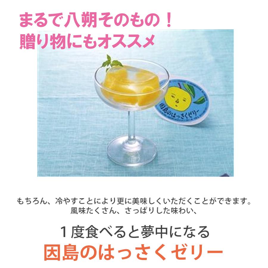 因島 はっさくゼリー 八朔ゼリー 10個セット 八朔果肉入り 果物ゼリー フルーツゼリー 果実 柑橘系 スイーツ 夏スイーツ デザート 人気 涼菓 さっぱり |  | 02