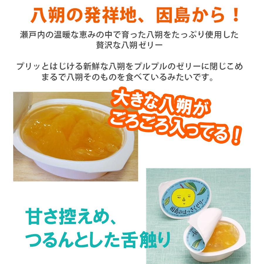 因島 はっさくゼリー 八朔ゼリー 10個セット 八朔果肉入り 果物