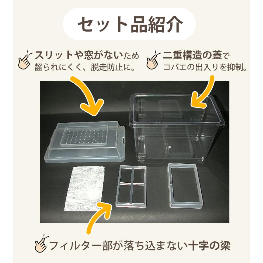クワガタ　カブト　飼育ケース　コバエシャッター コバエシャッター「昆虫飼育ケース」中サイズ（内部仕切りなし