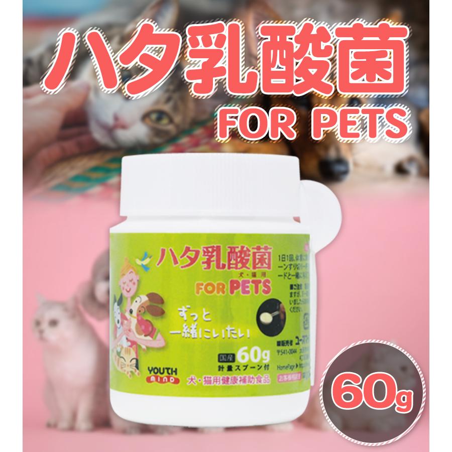 新品未使用 ハタ乳酸菌　FOR PETS 60g ×3個 ハタ乳酸菌 for pets ペット用 60g 乳酸菌 犬 猫 いぬ ねこ ペット