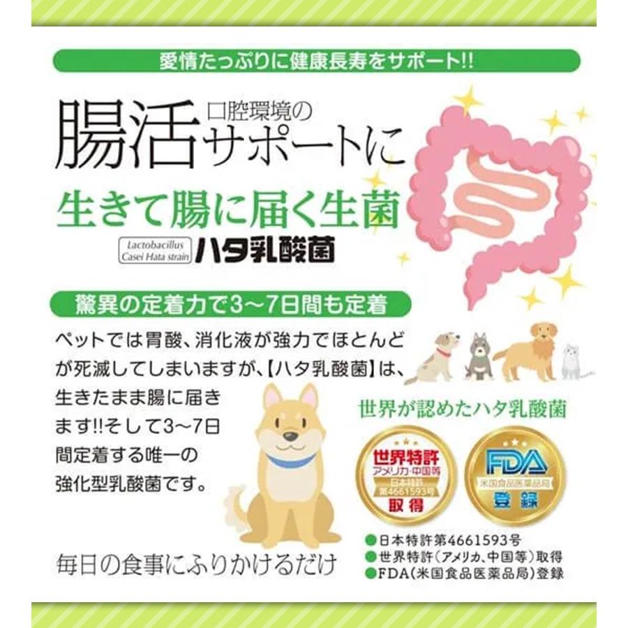 ハタ乳酸菌 for pets ペット用 60g 乳酸菌 犬 猫 いぬ ねこ ペット