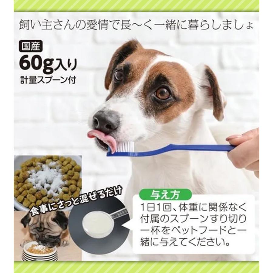 ハタ乳酸菌 for pets ペット用 60g 乳酸菌 犬 猫 いぬ ねこ ペット