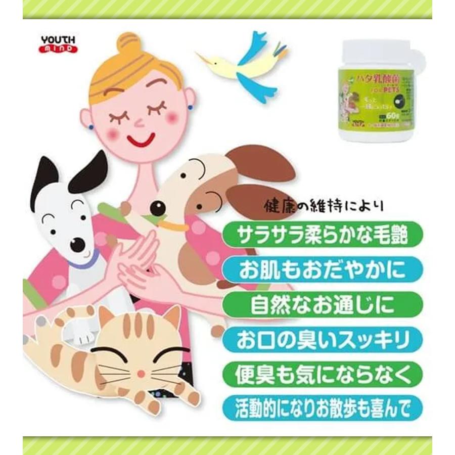 ハタ乳酸菌 for pets ペット用 60g 乳酸菌 犬 猫 いぬ ねこ ペット