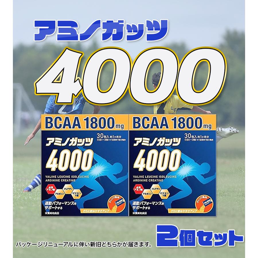 ホースケアサプリ　アミノアシスト　馬の健康管理専用　アミノ酸含有食品　10袋 ジョイントアシストHP(馬用サプリメント） | Horse Riding