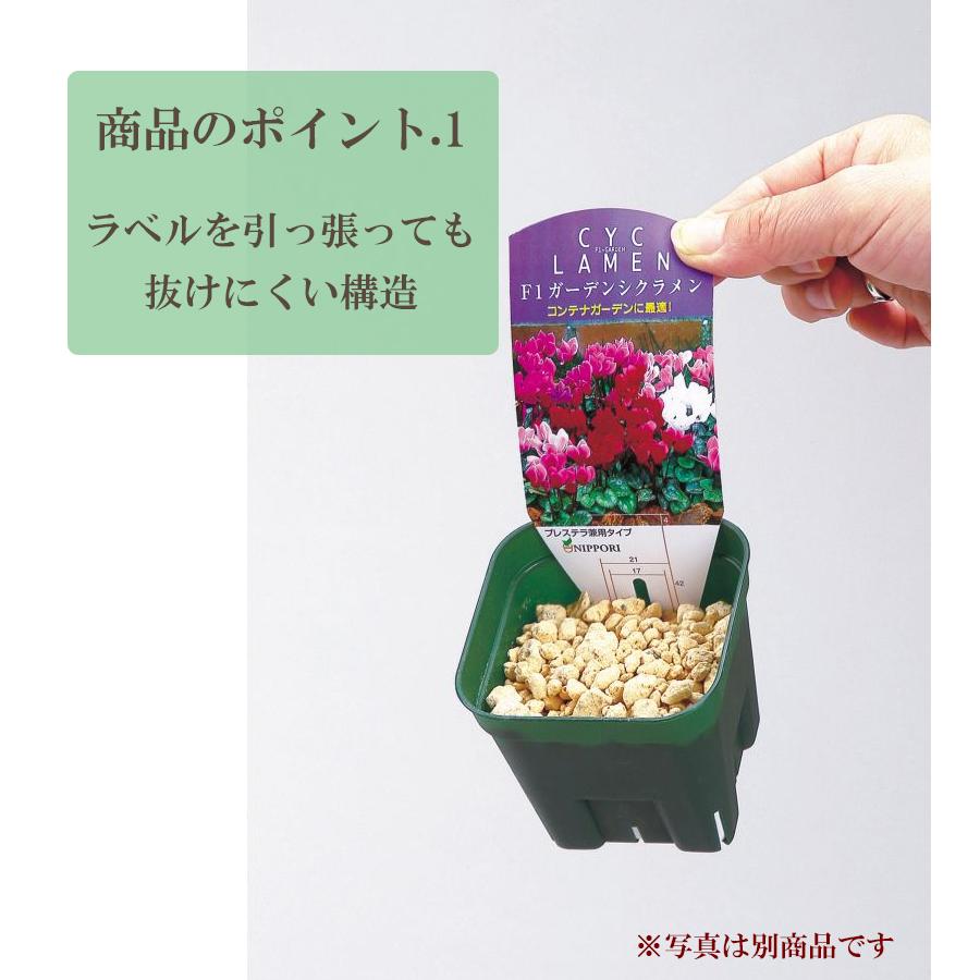 プレステラ 日本ポリ鉢 プレステラ90 ブラック 10個組 植木