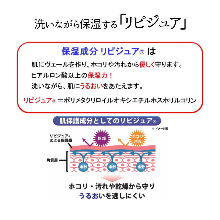 石鹸 手 ちょうようせっけん 5個入り 固形石鹸 無香料 無着色 合成界面