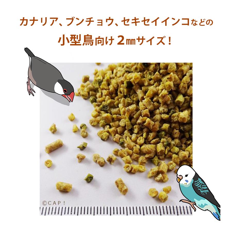 ラウディブッシュ メンテナンス ニブルス 624g 2個セット 鳥のえさ 餌