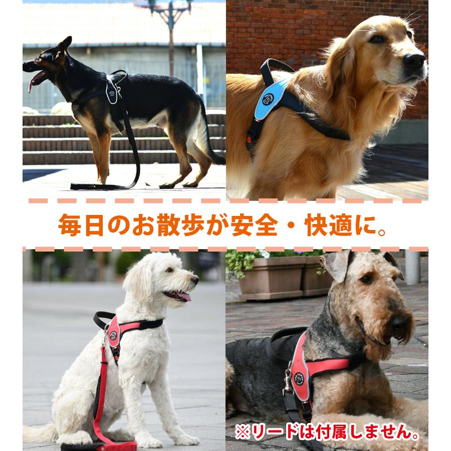 ハーネス 大型犬 TRE PONTI トレポンティ Primo リフレクティブ REF 全