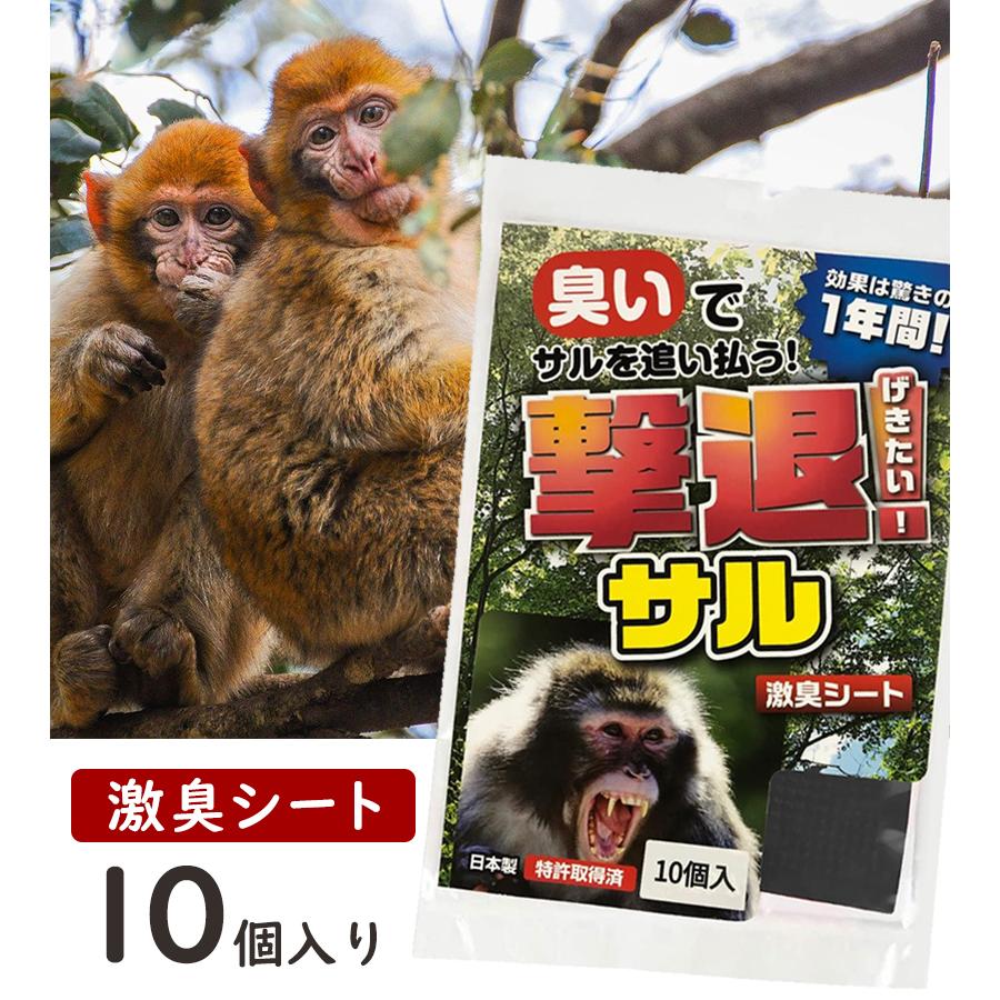 撃退サル激臭シート 30個入 猿対策 激辛臭が約２倍の強力タイプ Amazon | 撃退サル激臭シート 30個入 激辛臭が約2倍の強力