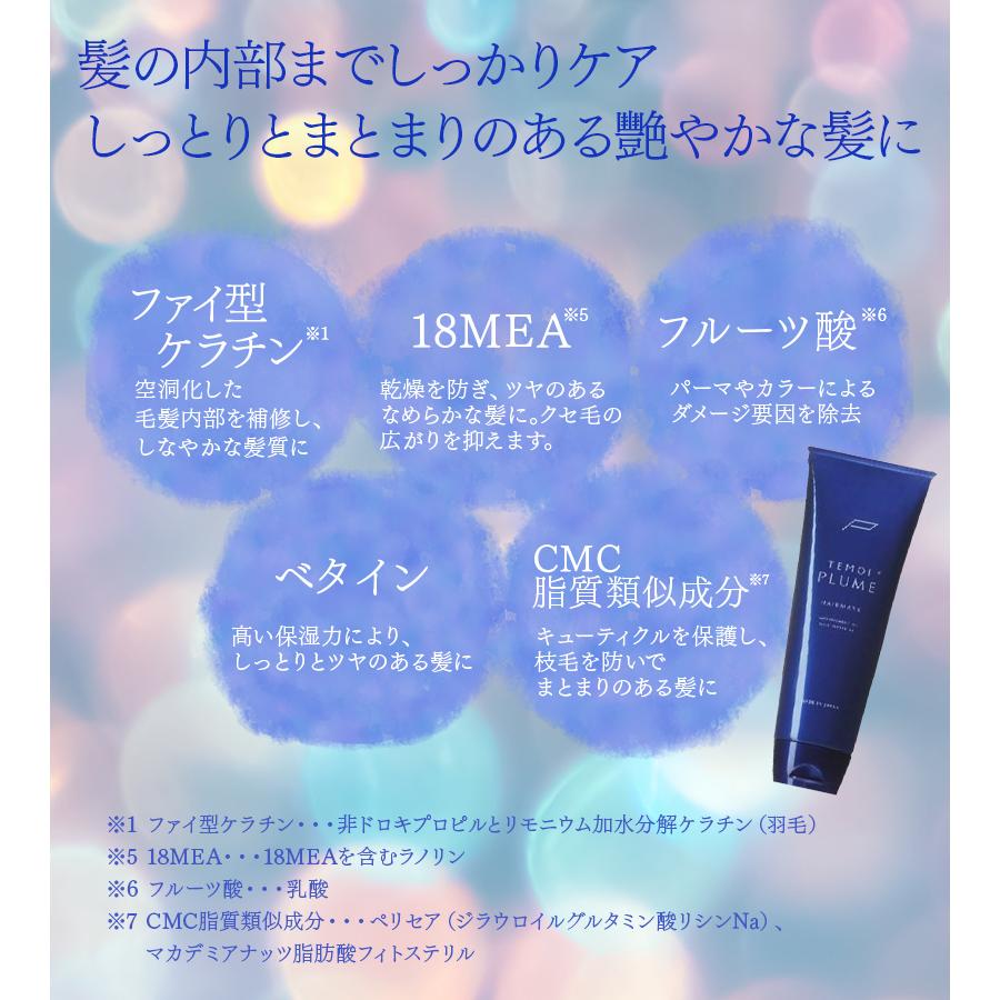 テモイ プルームシャンプー 300ml ヘアマスク 250g セット 美容