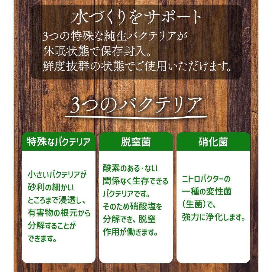 熱帯魚 A-810 バクテリア剤 海水用 300ml 水槽 水質 浄化 海水魚 海水