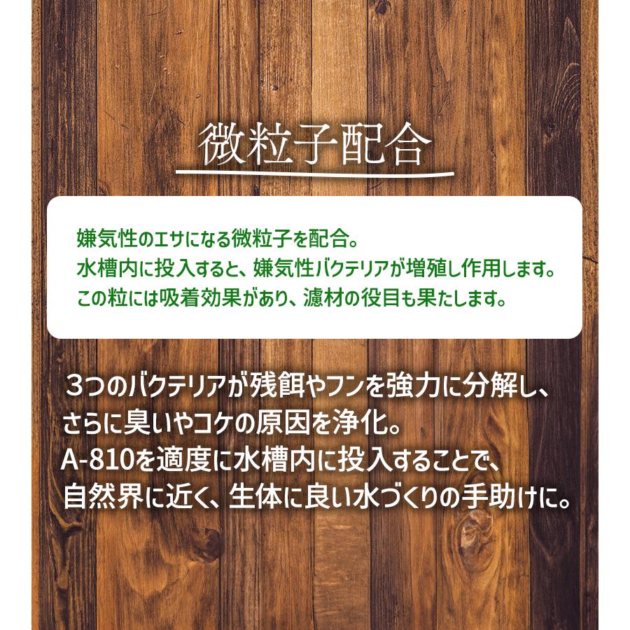 熱帯魚 A-810 バクテリア剤 海水用 300ml 水槽 水質 浄化 海水魚 海水