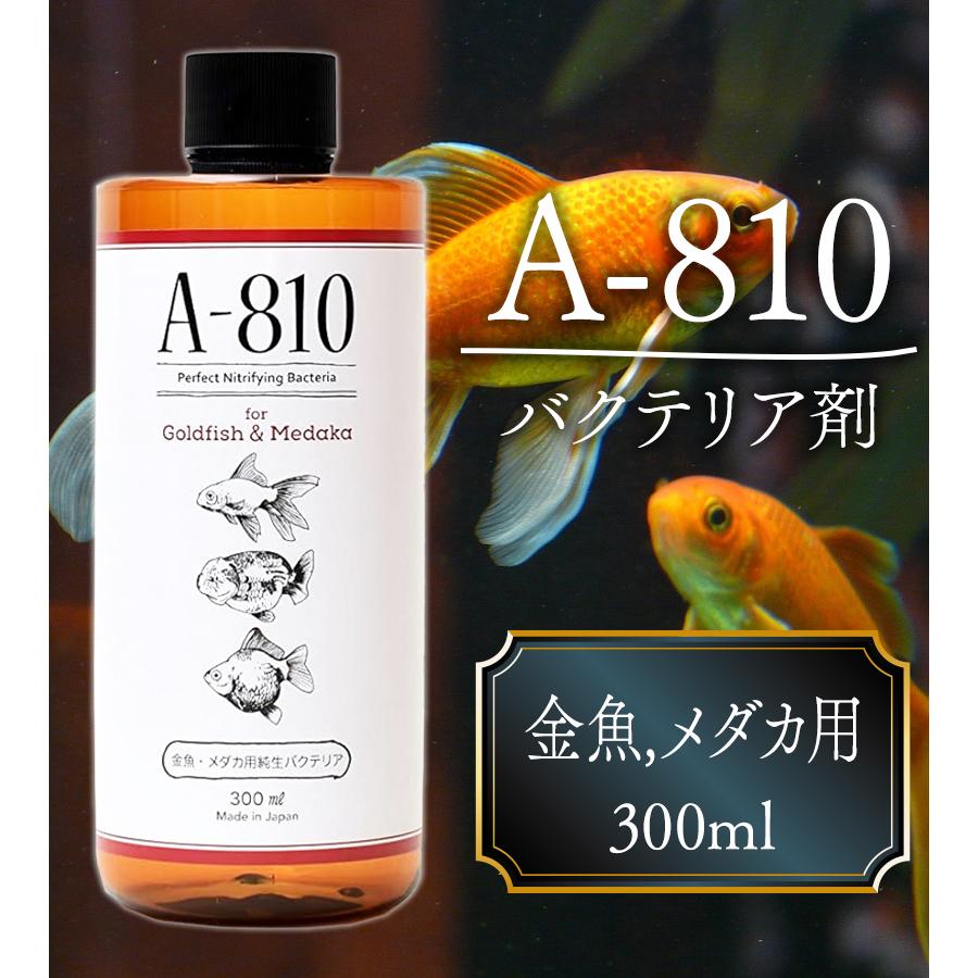 メダカ A-810 バクテリア剤 金魚.メダカ用 300ml 水槽 水質 浄化 淡水