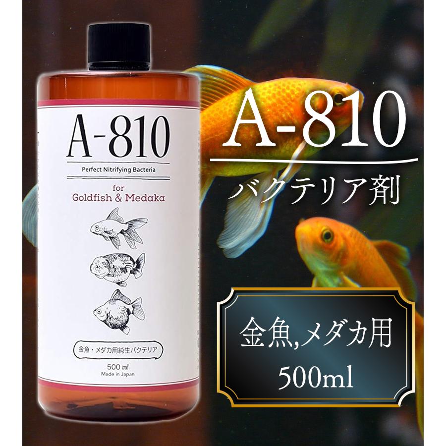 メダカ A-810 バクテリア剤 金魚.メダカ用 500ml 水槽 水質 浄化 淡水