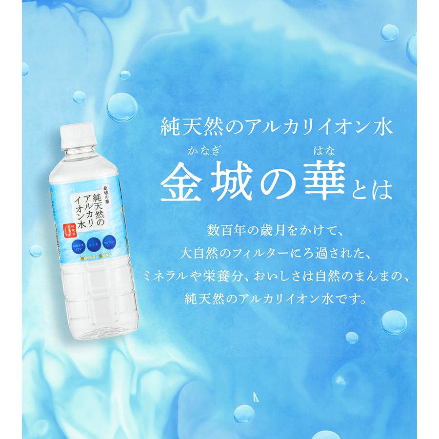 城MJ20550　送料無料　即購入可能　スピード発送　アルカリイオン水生成器 Amazon | 日本製 水素水生成器 浄水器 ピュアナノ ZX-05 家庭用 強酸性