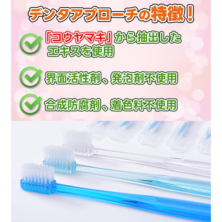 Y＆S デンタアプローチ 歯磨きジェル 56g×2個セット レギュラーサイズ
