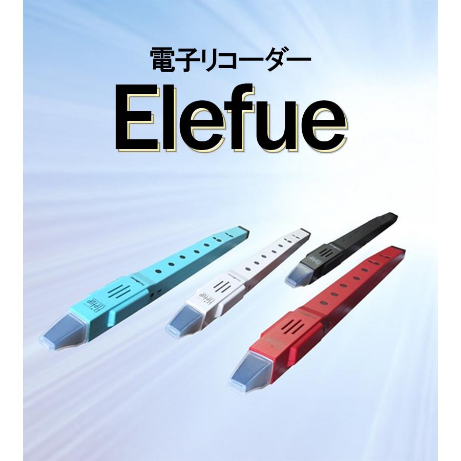 TAHORNG 電子リコーダー 4色 デジタル・ウインド・インスツルメント