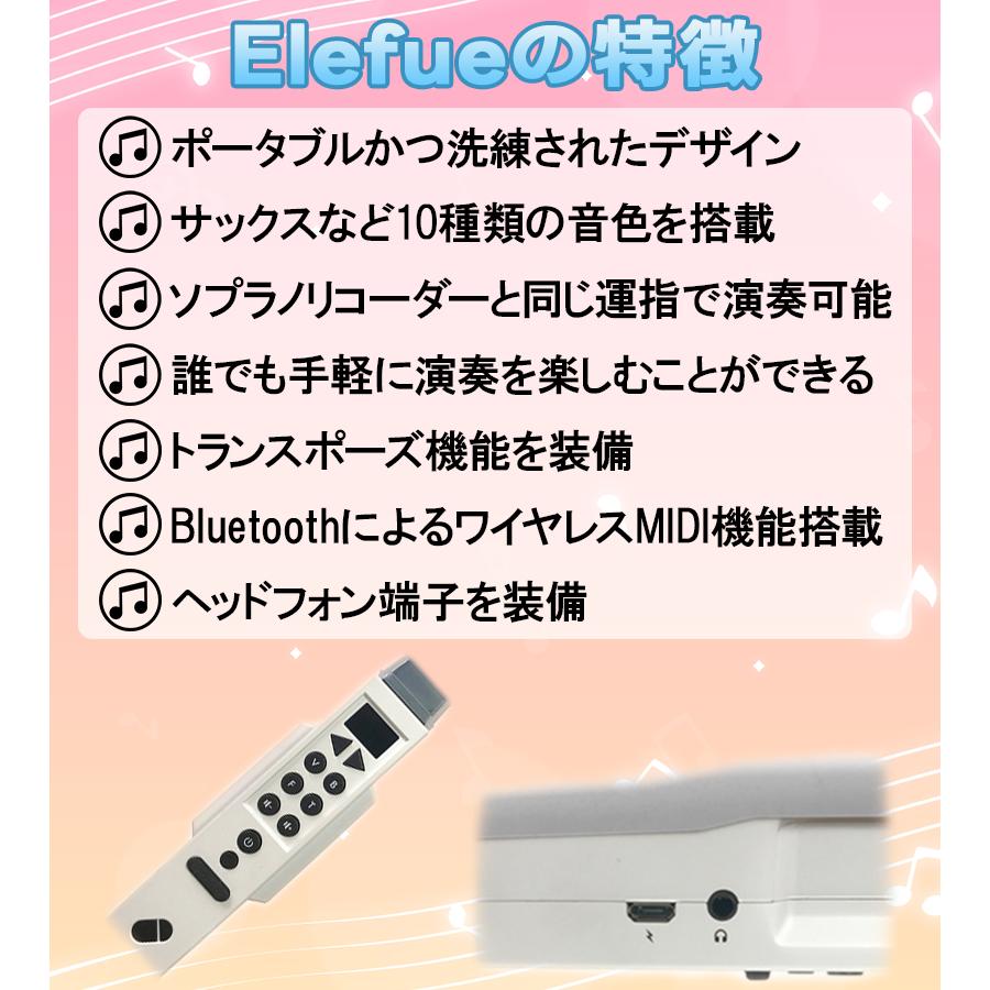 TAHORNG 電子リコーダー 4色 デジタル・ウインド・インスツルメント