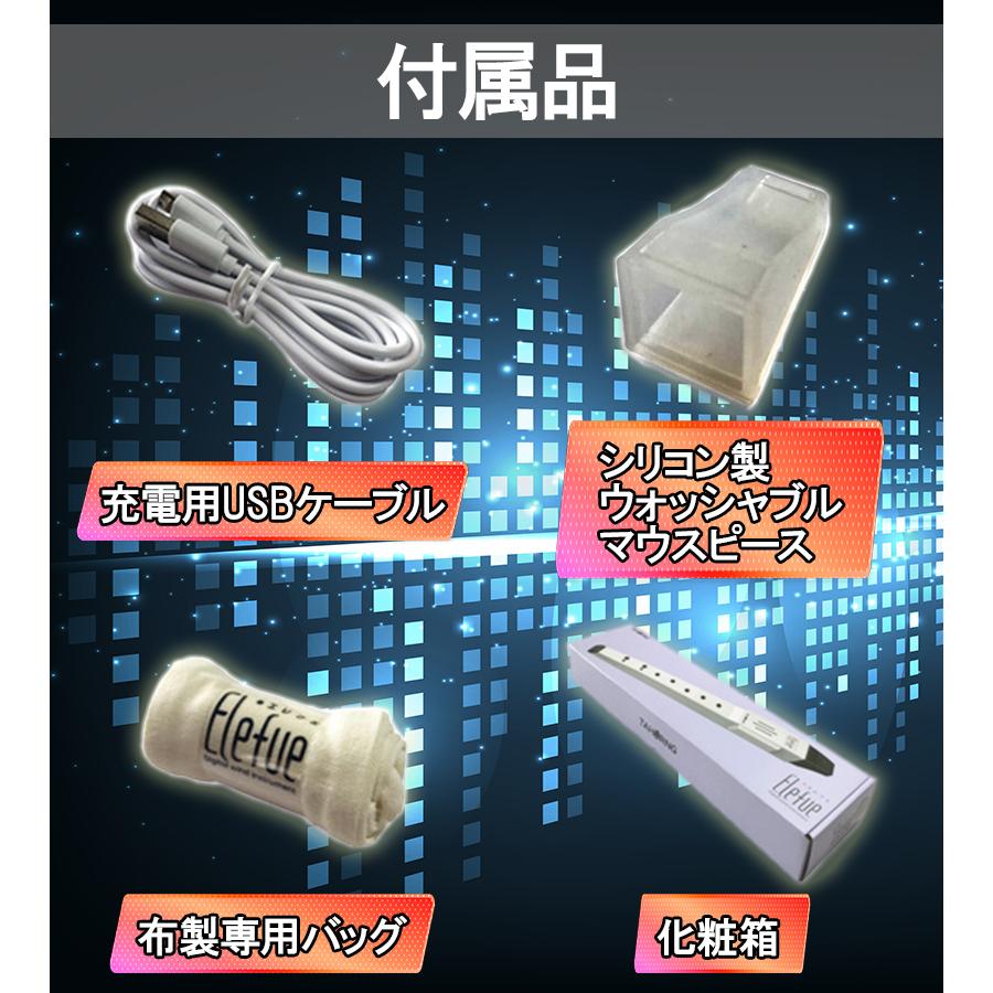 TAHORNG 電子リコーダー 4色 デジタル・ウインド・インスツルメント