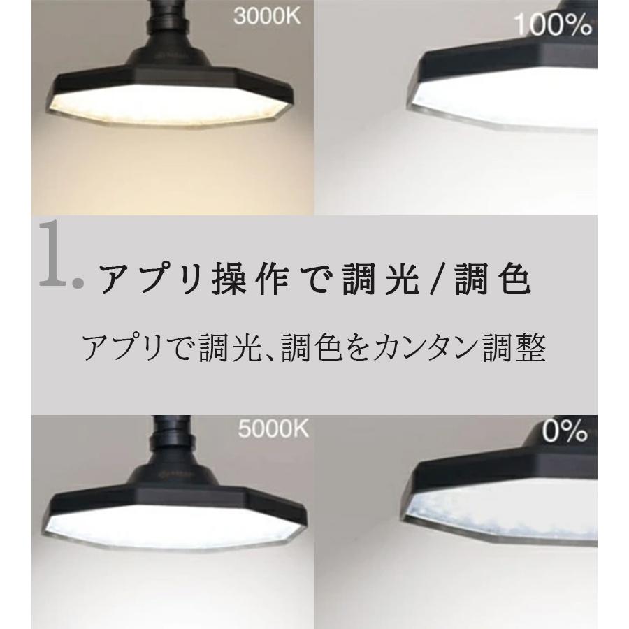 BARREL ROKI-OCTAGON 50W ブラック ホワイト 植物育成ライト LED