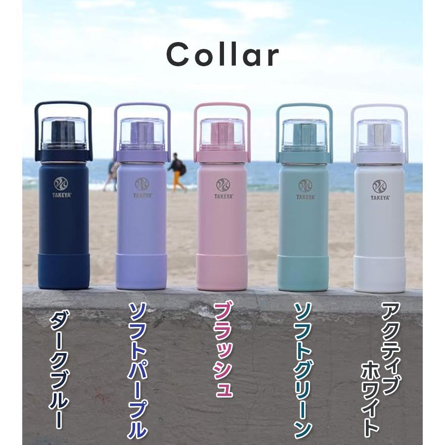 タケヤ フラスク ゴーカップ 0.52L 保冷専用 キッズ 水筒 ステンレス