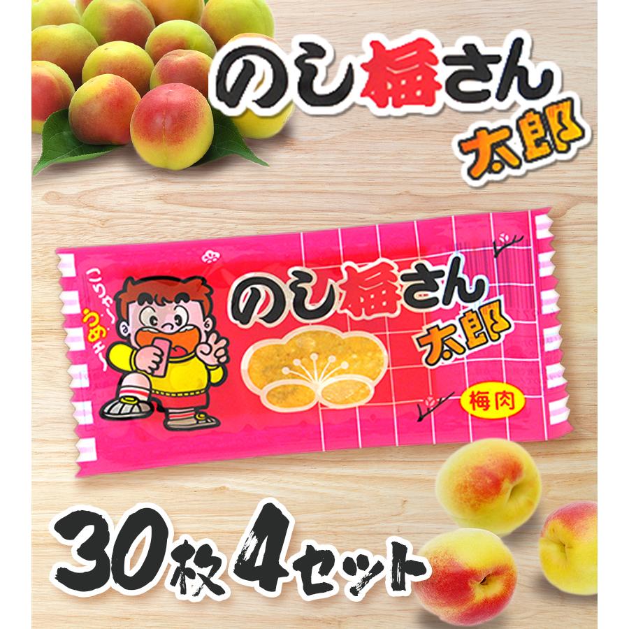 の し 梅 さん