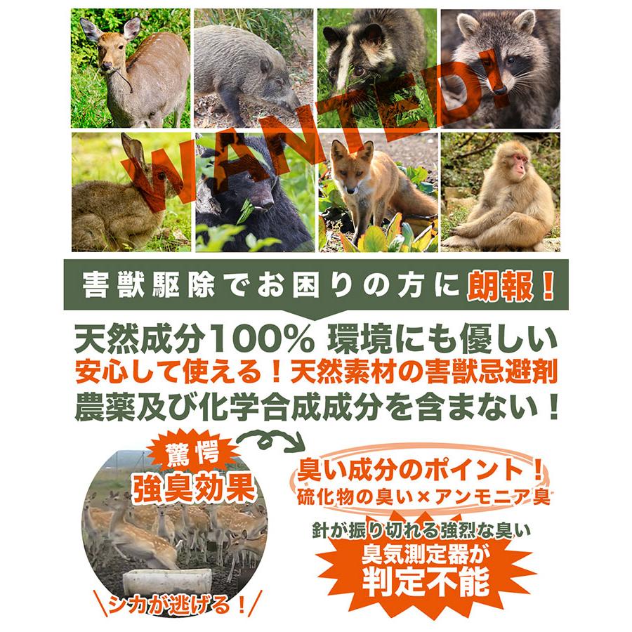 害獣忌避剤 屋外 ヒトデ濃縮液 1000ml 液体 希釈 強臭力 野生動物よけ 天然素材 侵入防止 |  | 02