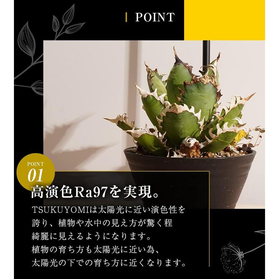 BARREL4点セット エクメアムーブTSUKUYOMIツクヨミあかだまちゃん 楽天市場】【3年保証】BARREL公式 植物育成LEDライト 【TSKUYOMI 10W