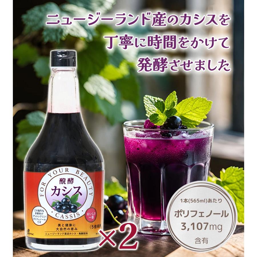 ジャフマック 醗酵カシス 565ml G999200 2本セット 5倍希釈 カシス