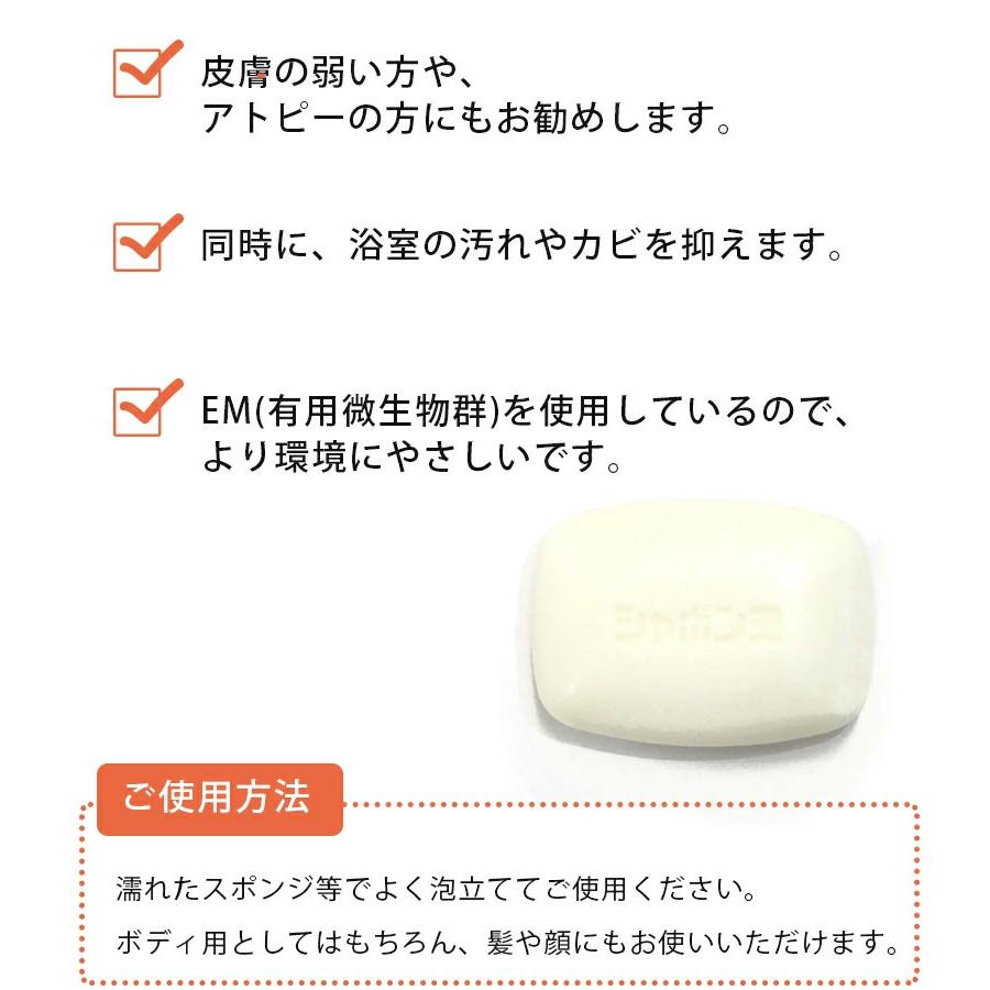 シャボン玉石けん 浴用 EM化粧石鹸 100g×3個セット 固形せっけん バス