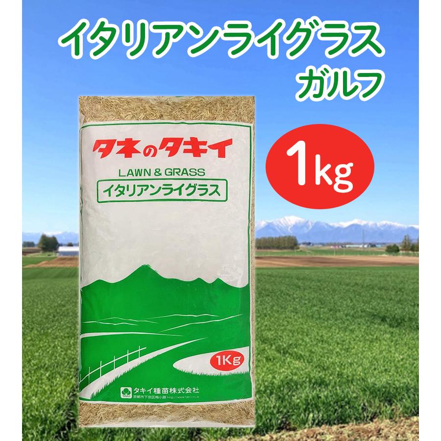 タキイ種苗 イタリアンライグラス ガルフ 1kg タネのタキイ 農薬未処理