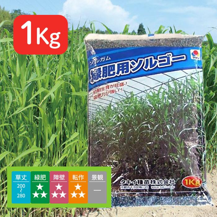 タキイ種苗 ソルガム 緑肥用 ソルゴー 1kg タネのタキイ スーダン型 早生 BSG558 | 