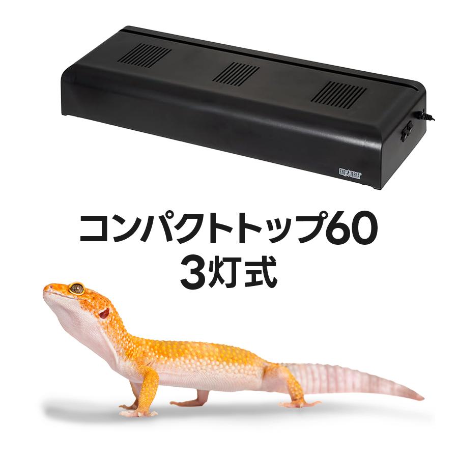 GEX EXOTERRA コンパクトトップ60 3灯式 照明器具 ジェックス