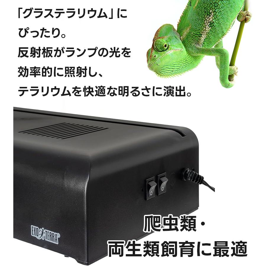GEX EXOTERRA コンパクトトップ60 3灯式 照明器具 ジェックス