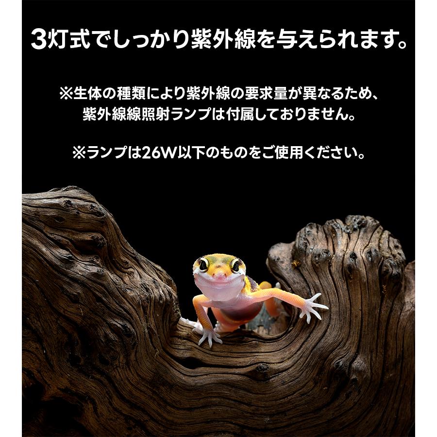 GEX EXOTERRA コンパクトトップ60 3灯式 照明器具 ジェックス グラス