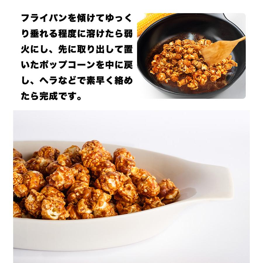 北海道産 ポップコーン用 豆 国産 500g 遺伝子組み換えなし 無添加