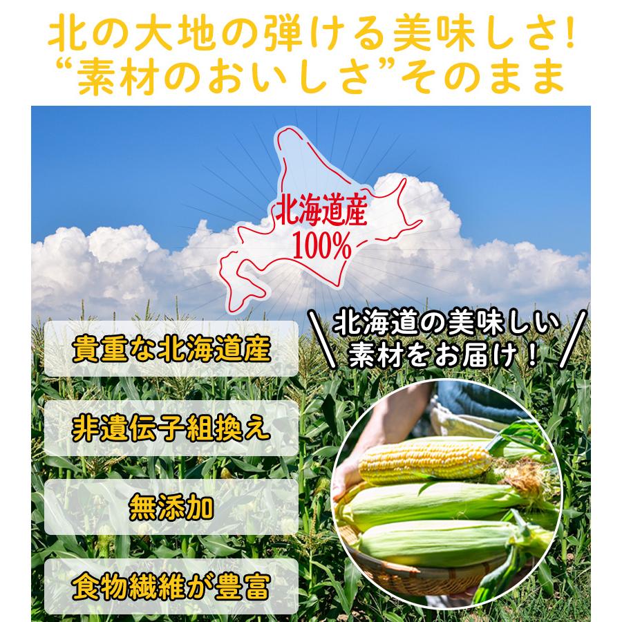 北海道産 ポップコーン用 豆 国産 500g 遺伝子組み換えなし 無添加