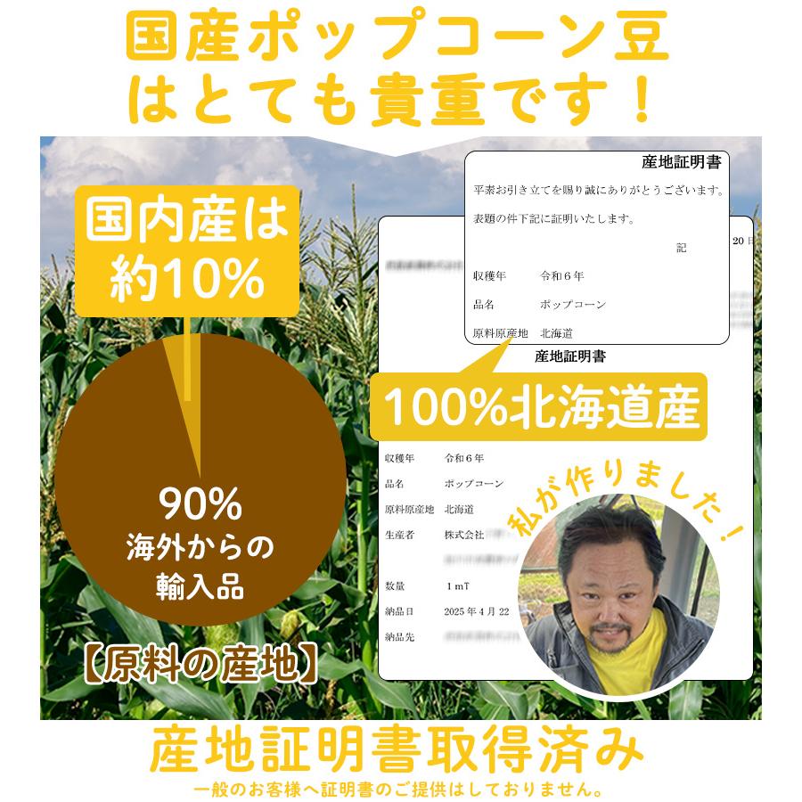 北海道産 ポップコーン用 豆 国産 500g 遺伝子組み換えなし 無添加