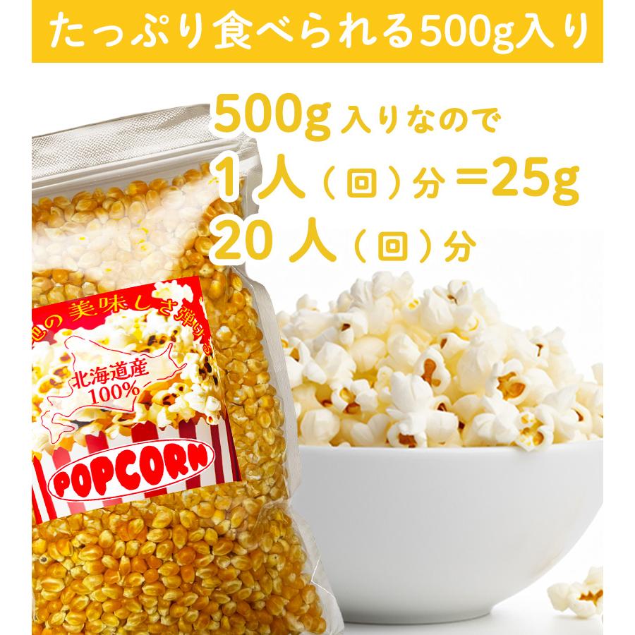 北海道産 ポップコーン用 豆 国産 500g 遺伝子組み換えなし 無添加
