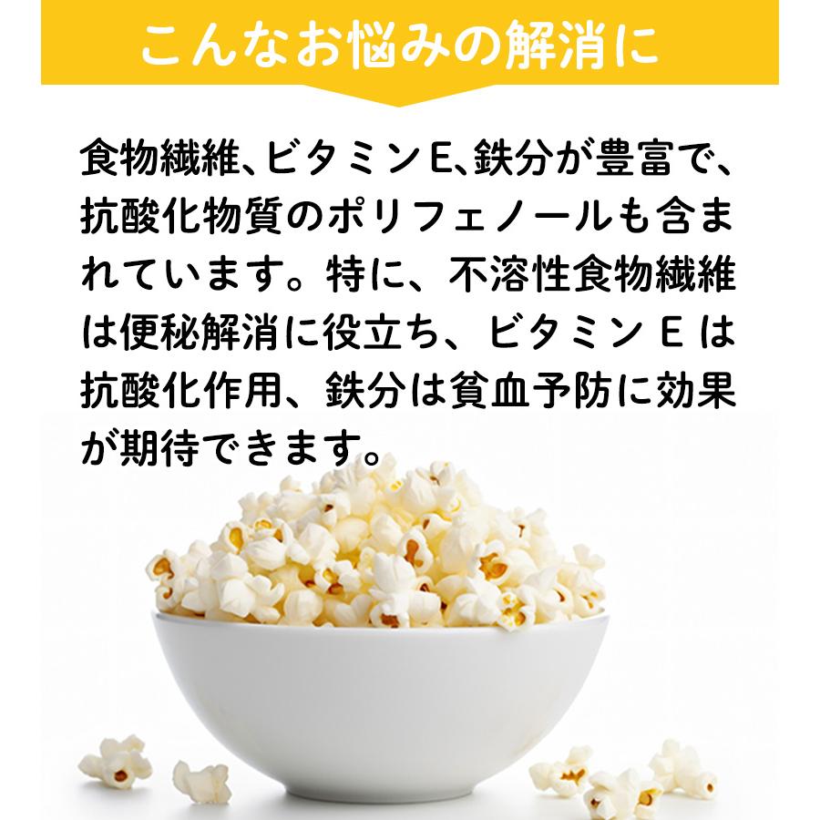 北海道産 ポップコーン用 豆 国産 500g 遺伝子組み換えなし 無添加