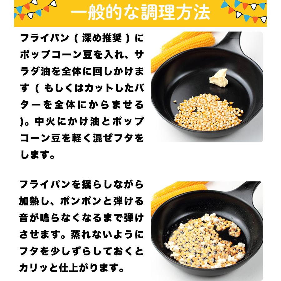 北海道産 ポップコーン用 豆 国産 500g 遺伝子組み換えなし 無添加