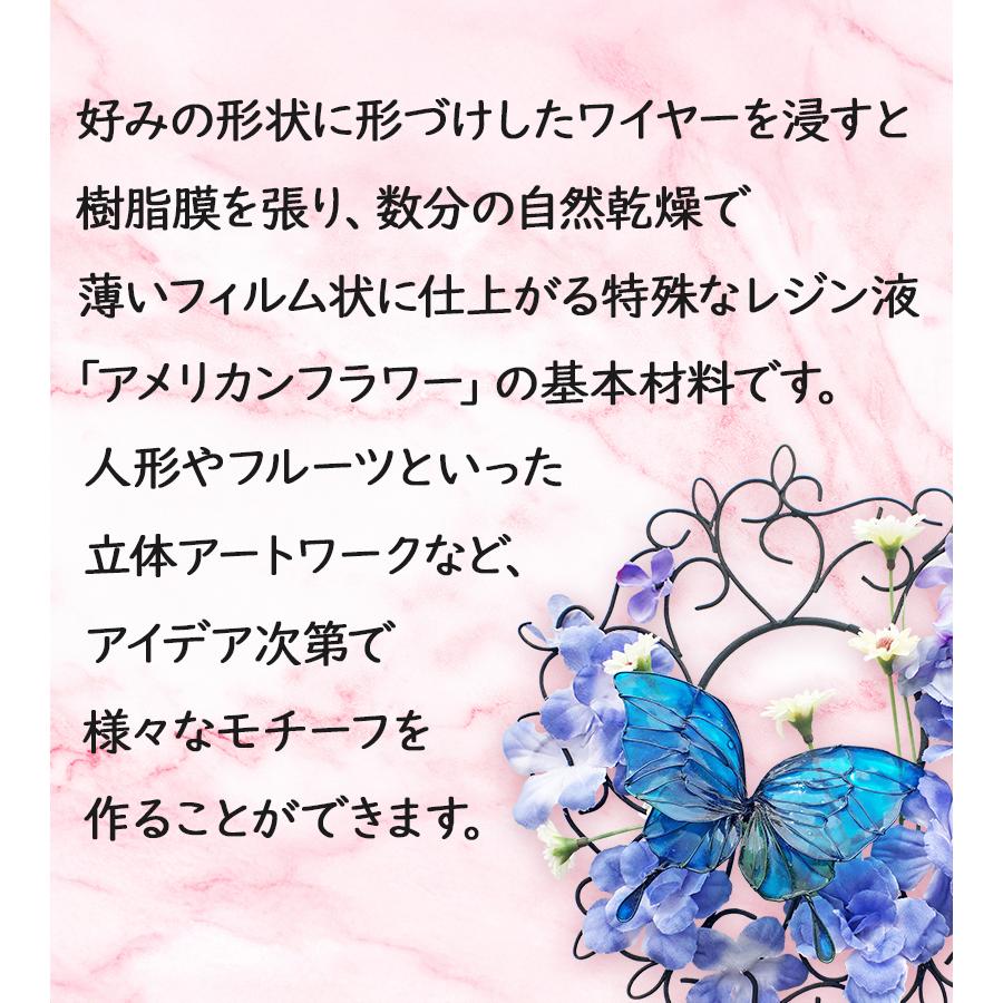 亀島商店 ディップ液 アメリカンフラワー American Flower クリヤー