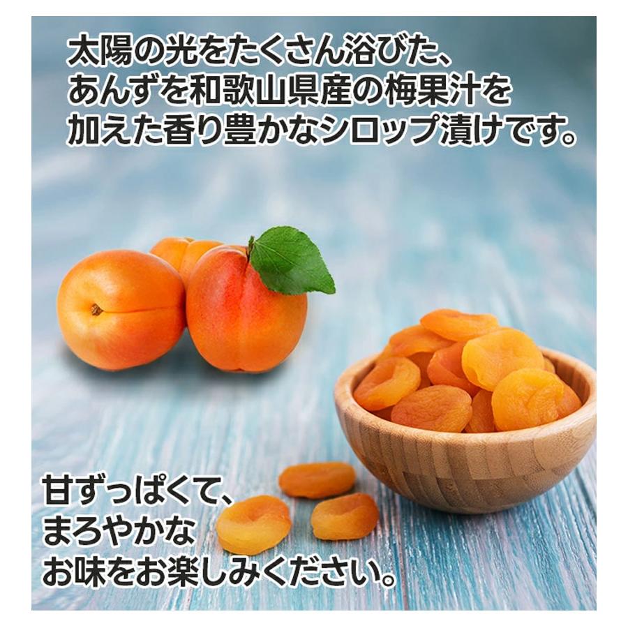 ミナツネ 丸あんず シロップ漬け 500g×10個セット 種ぬき 梅風味